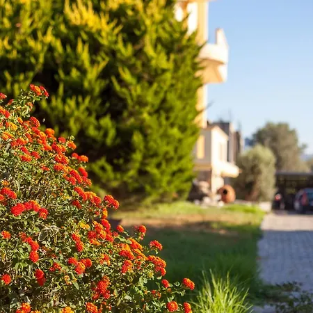 別荘 Cozy Family Steps From The アファンドウ