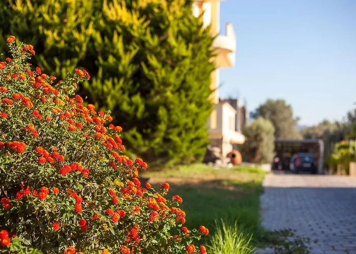 Holiday home Cozy Family Steps From The Afantou